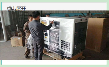 冰球突破豪华版网址动力50kw柴油发电机调试好准备发货